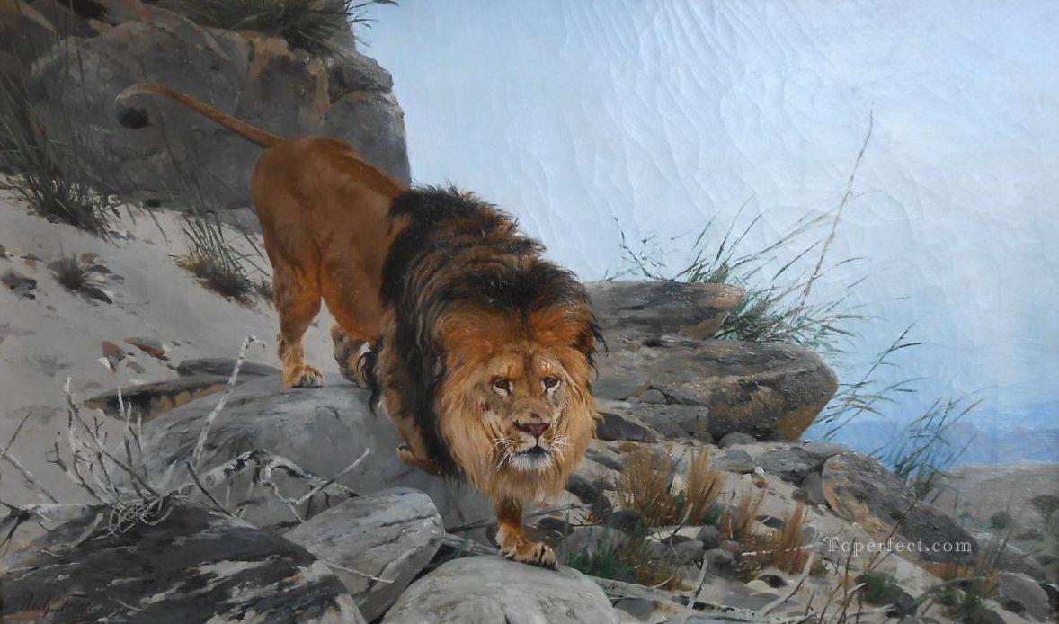 lion 3 Peintures à l'huile